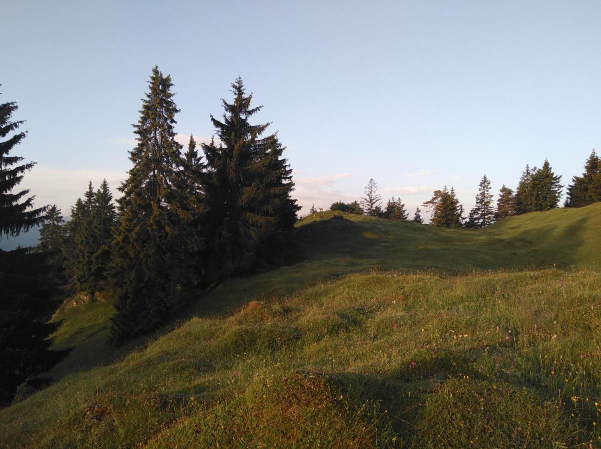 니데라우 Leitnerhof 빌라 외부 사진